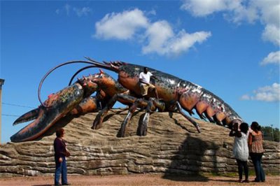 ​巨型龙虾身长333米？是谣言（世界最大龙虾只有1.2m）