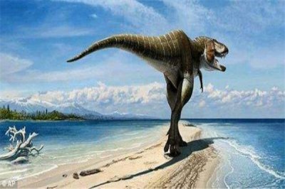 ​艾伯塔龙：分散于北美洲西部的恐龙（肉食恐龙）