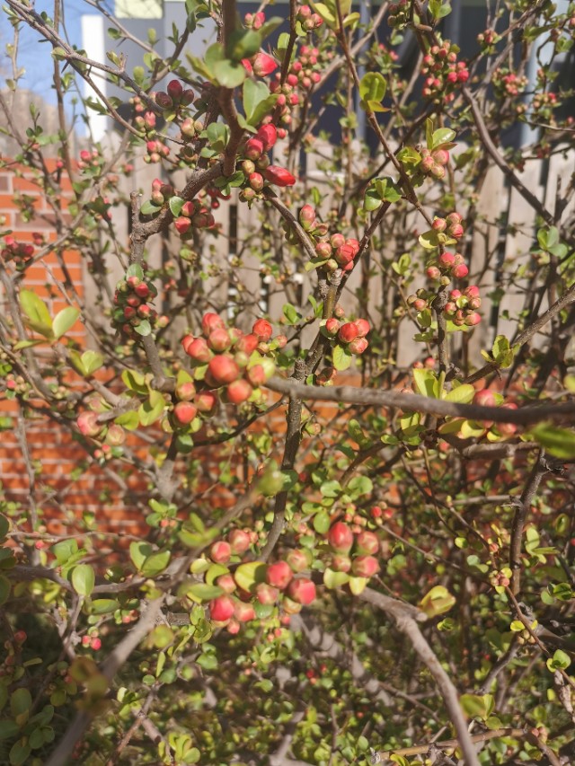 请问张柏芝和李亚鹏什么关系_复杂的人物关系图 请问张柏芝和李亚鹏什么关系_复杂的人物关系图