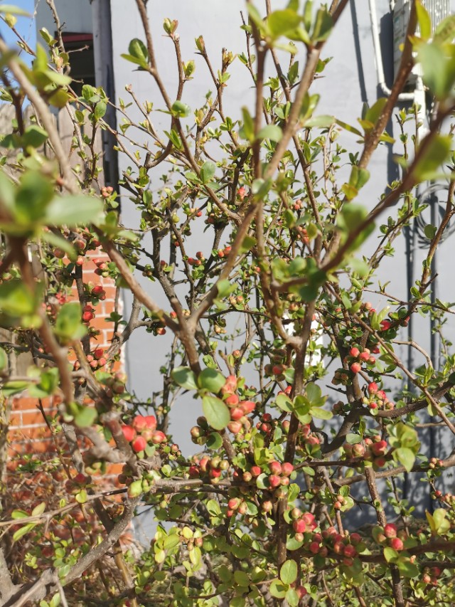 请问张柏芝和李亚鹏什么关系_复杂的人物关系图 请问张柏芝和李亚鹏什么关系_复杂的人物关系图