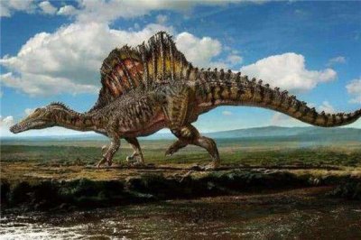​古齿龙：一种脊索动物 上身猛烈的恐龙（食肉性恐龙）