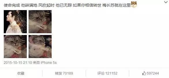 胡歌钟汉良靳东(胡歌钟汉良靳东)(6)