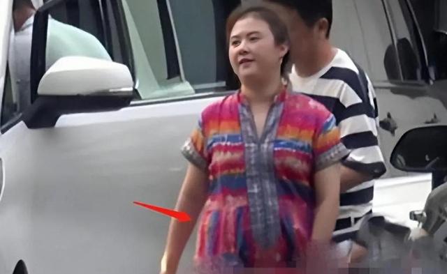 沈腾姐姐沈娜个人资料(沈腾老婆被传怀二胎)(9)