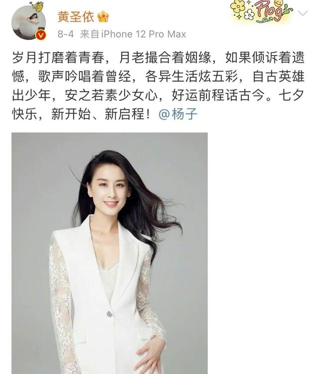 沈腾姐姐沈娜个人资料(沈腾老婆被传怀二胎)(1)