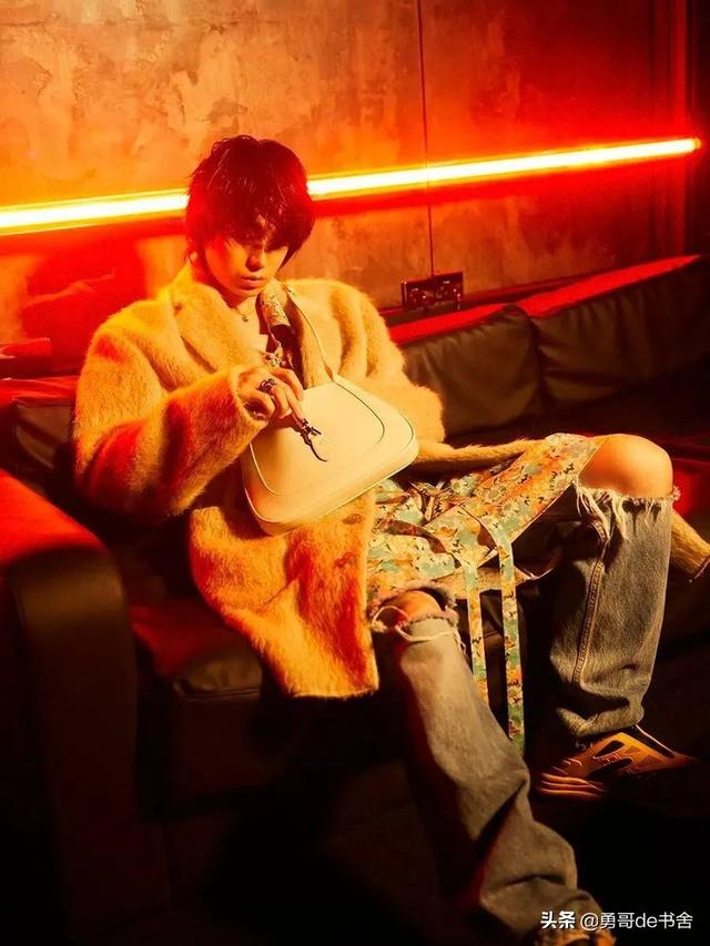 杨幂共有几套豪宅(月薪百万住京城大别墅)(21)