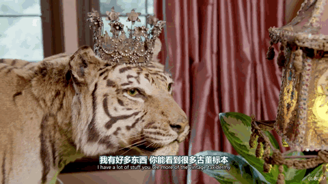 杨幂共有几套豪宅(月薪百万住京城大别墅)(60)