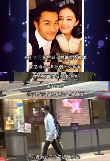 杨幂和刘恺威离婚原因大揭秘(官宣离婚半年后才正式分家)(9)