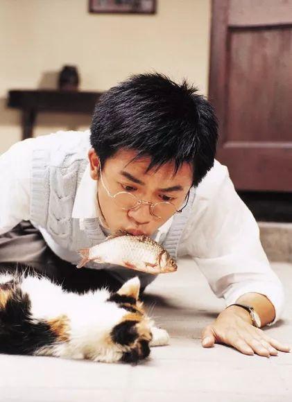 赵薇林心如合作过几次(情深深的演员表藏着玄机)(1)