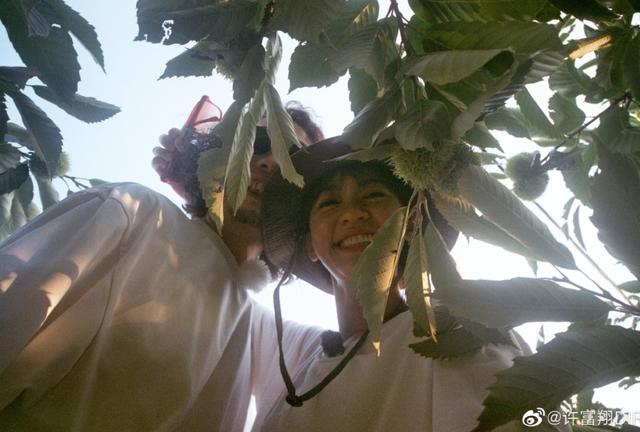 林志玲老公背景资料(林志玲老公被前女友嫌弃太温柔)(59)