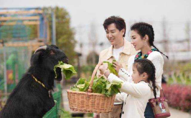 王子文的前男友(王子文官宣与吴永恩恋情)(2)