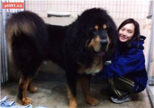 朱茵周星驰爱情故事(她是周星驰最难忘的女友)(7)