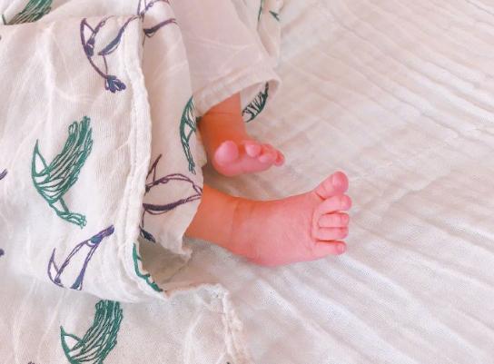 主持人朱丹的历任男友:朱丹前夫离婚后当上总裁(3)