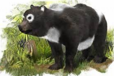​熊猫祖宗是什么动物?八百万年前只吃肉类_撕咬力惊人