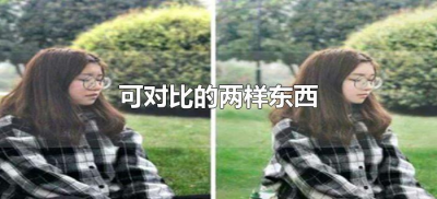 ​可对比的两样东西（可对比的两样东西有哪些）