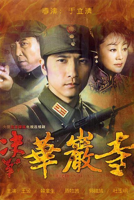 最成功的谍战连续剧(四部决战系列谍战剧:苦肉计瞒天过海)(11)