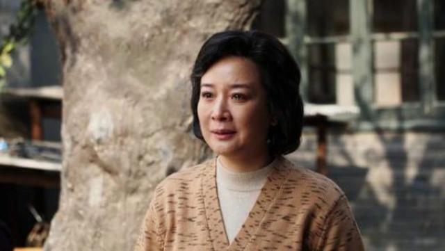 陈小艺都有哪些电视连续剧(用细腻的演技征服观众)(10)