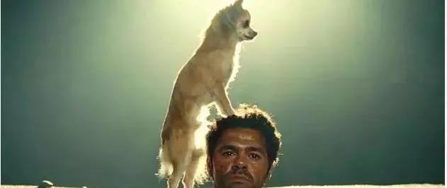 10部必看的搞笑电影(十部忍不住的爆笑电影)(1)