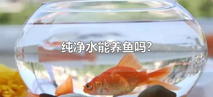 纯净水能养鱼吗? 纯净水能养鱼吗?