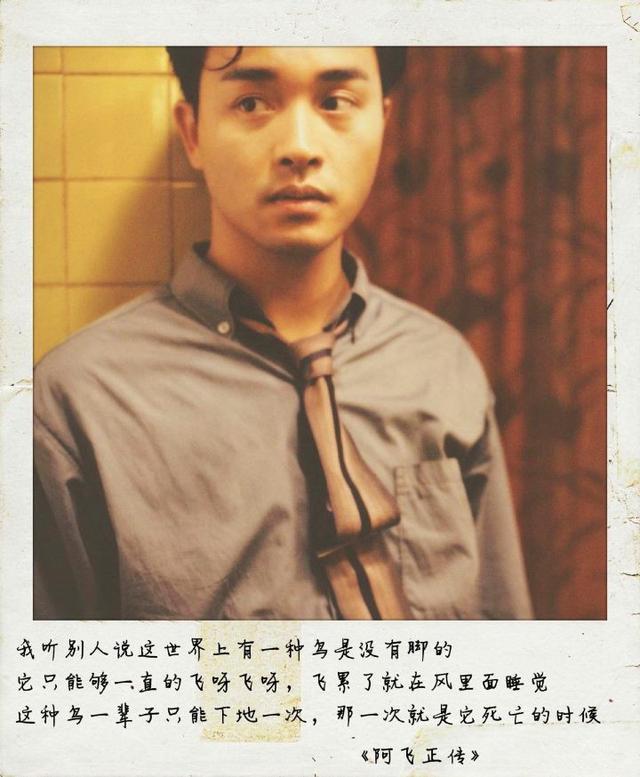 张国荣1992霸王别姬(张国荣三部经典电影流星语)(8)