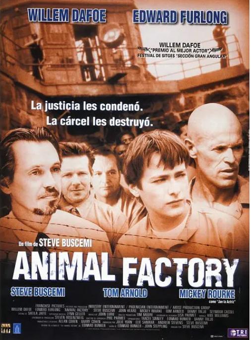 监狱题材的好看电影排行榜(top10最经典的监狱电影)(2)