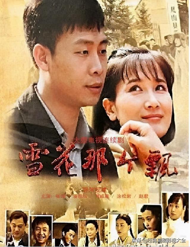 张译主演的电视剧大全(推荐百亿票房先生)(12)