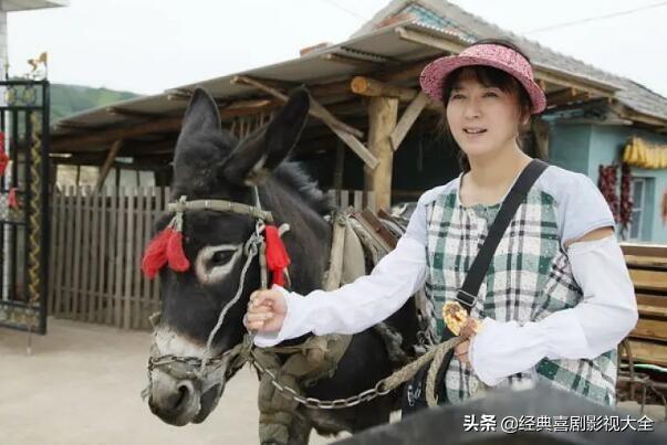 闫学晶电视剧盘点(盘点闫学晶10部经典电视剧)(16)