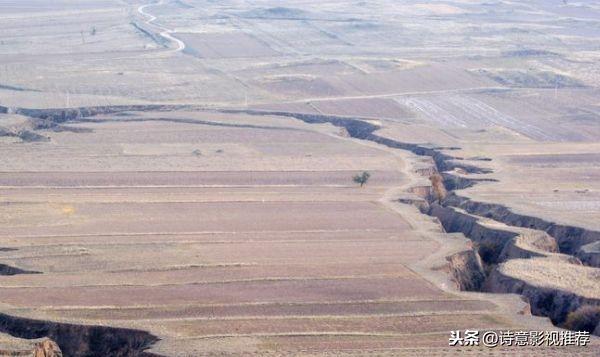 灾难片排行榜前十名电影最新(世界好看电影分享)(6)