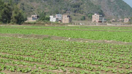 一亩地多少平方,一亩地是多少平方米图3