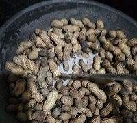 带壳的花生怎么炒,带壳的花生如何炒图1