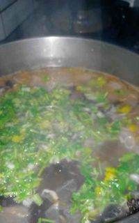 老黄瓜种是什么,用老黄瓜种煲汤的做法是什么菜图10