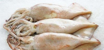 ​鱿鱼冷冻可以存放多久,鱿鱼常温下可以放多久