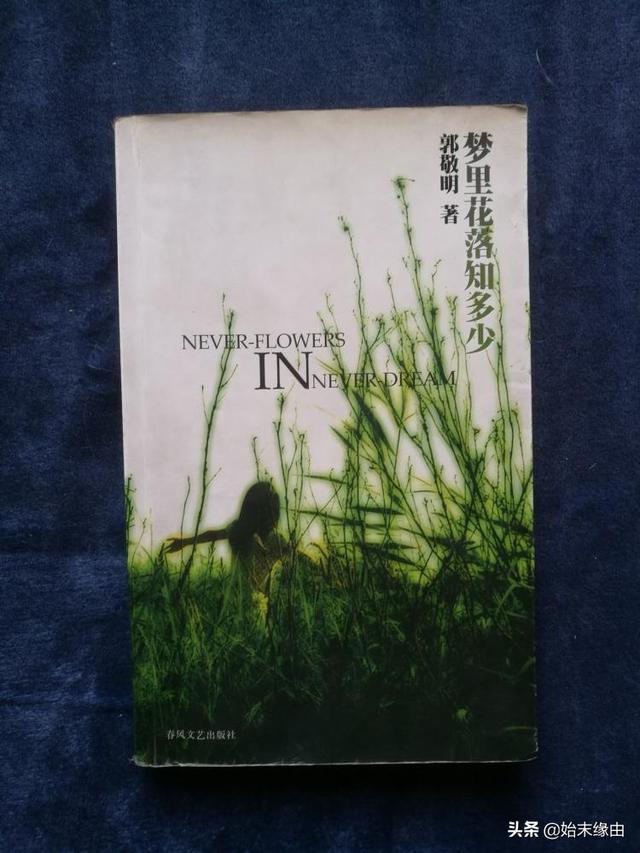 法律人看郭敬明庄羽事件始末(庄羽诉郭敬明抄袭事件始末)(4)