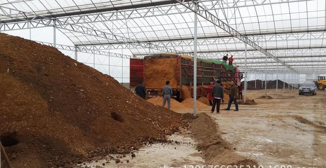 花卉种植技术技巧和方法(花卉种植行业普及的无土栽培常见方式及优缺点)(4)