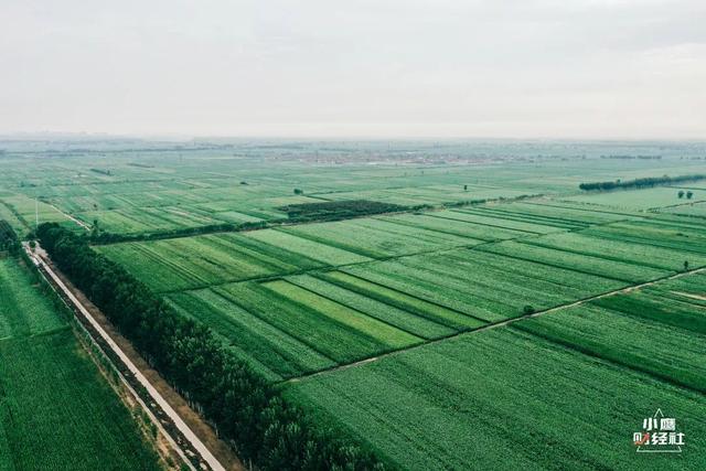 清徐风景好的地方(清徐一个又酸)(7)