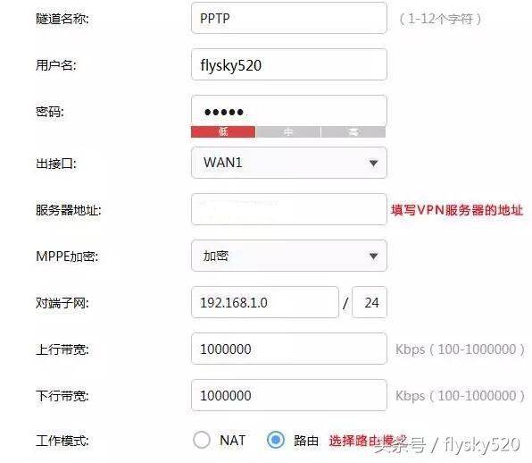 网络基础之PPTP和L2TPVPN（网络基础之PPTP和L2TPVPN）(10)