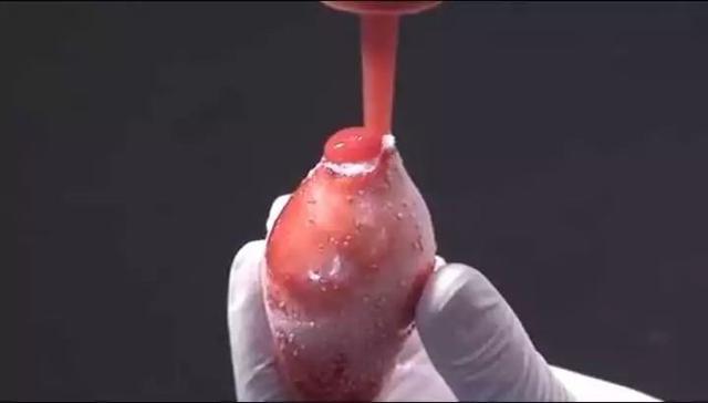 米其林三星龙吟料理(一颗800的龙吟草莓)(22)