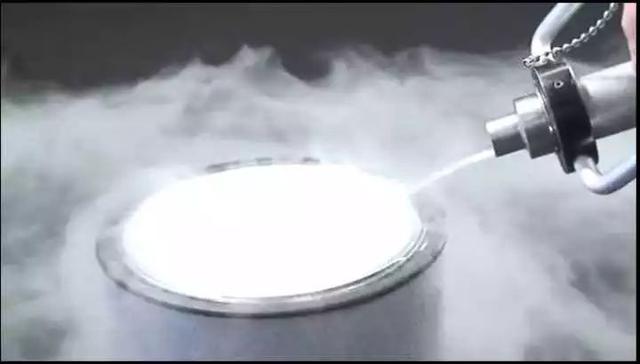 米其林三星龙吟料理(一颗800的龙吟草莓)(12)