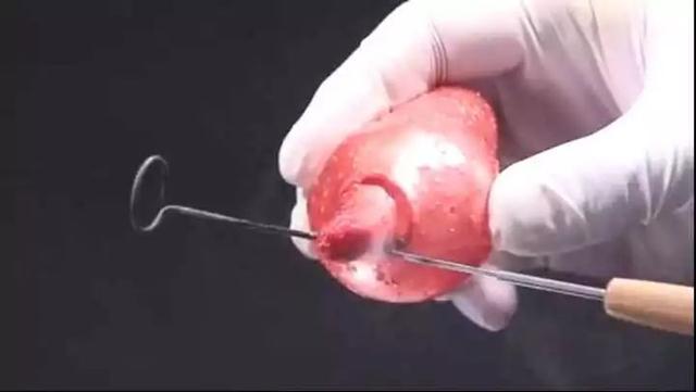 米其林三星龙吟料理(一颗800的龙吟草莓)(20)