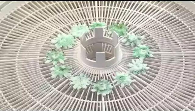 米其林三星龙吟料理(一颗800的龙吟草莓)(7)