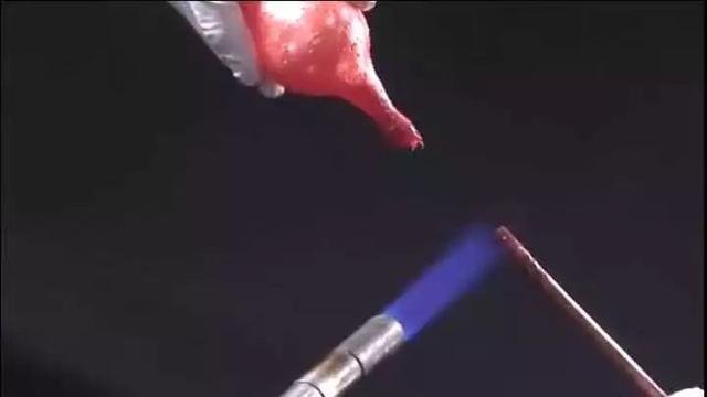 米其林三星龙吟料理(一颗800的龙吟草莓)(19)