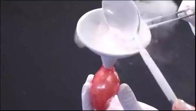 米其林三星龙吟料理(一颗800的龙吟草莓)(21)