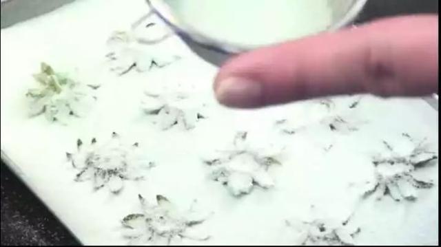 米其林三星龙吟料理(一颗800的龙吟草莓)(6)