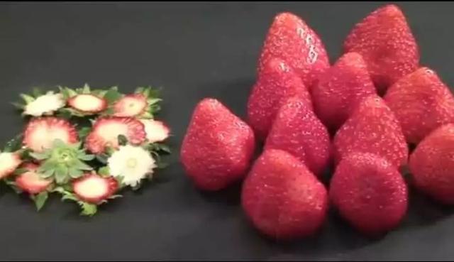 米其林三星龙吟料理(一颗800的龙吟草莓)(2)