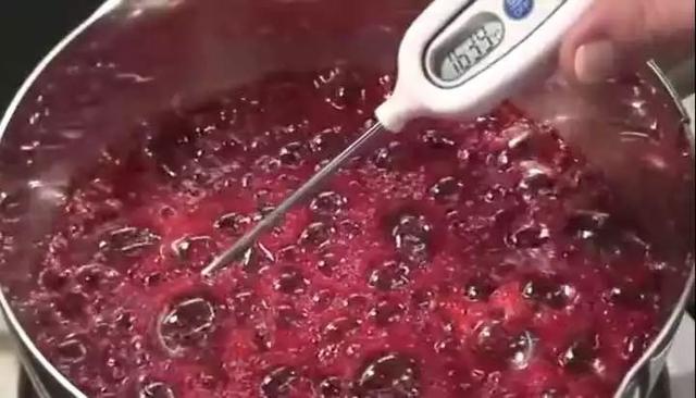 米其林三星龙吟料理(一颗800的龙吟草莓)(14)