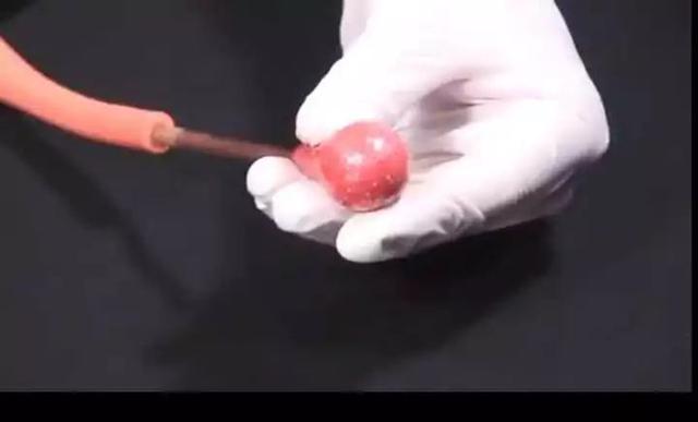 米其林三星龙吟料理(一颗800的龙吟草莓)(18)