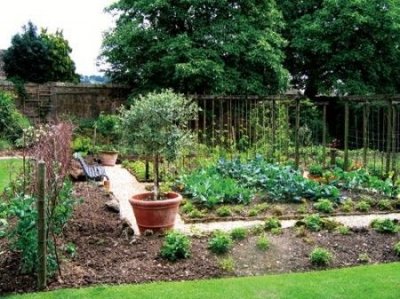 ​作文我的乐园400字  作文我的乐园400字左右免费