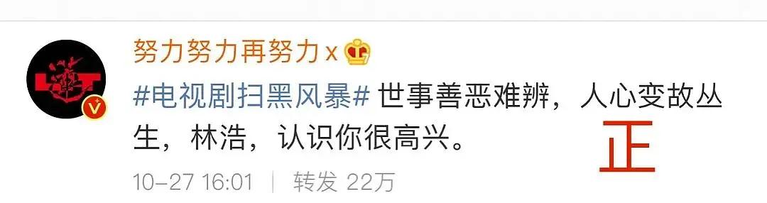 扫黑风暴里哪些是反派(扫黑风暴的配角)(58)