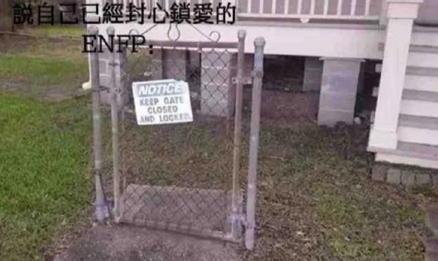 甄嬛传中的最后一集(ENFP在甄嬛传里活不过三集)(16)