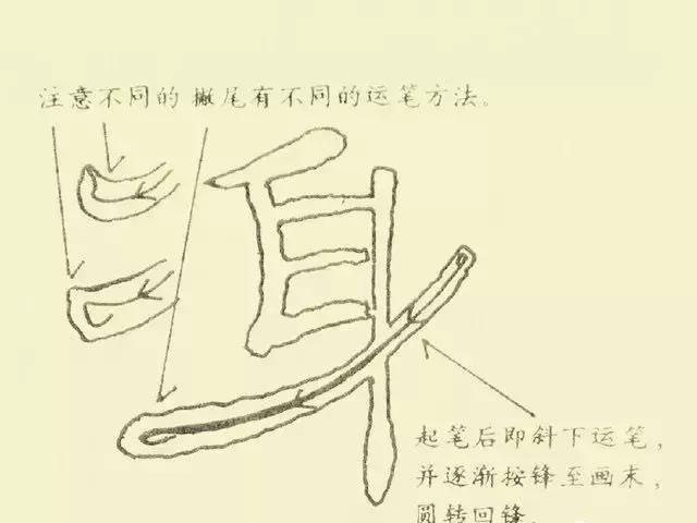 最好的隶书字帖(隶书曹全碑十一种基本笔法图示)(6)