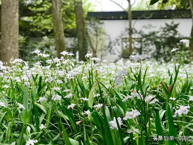 立春前一天什么日子有什么忌讳（明日立春有哪些禁忌）(8)